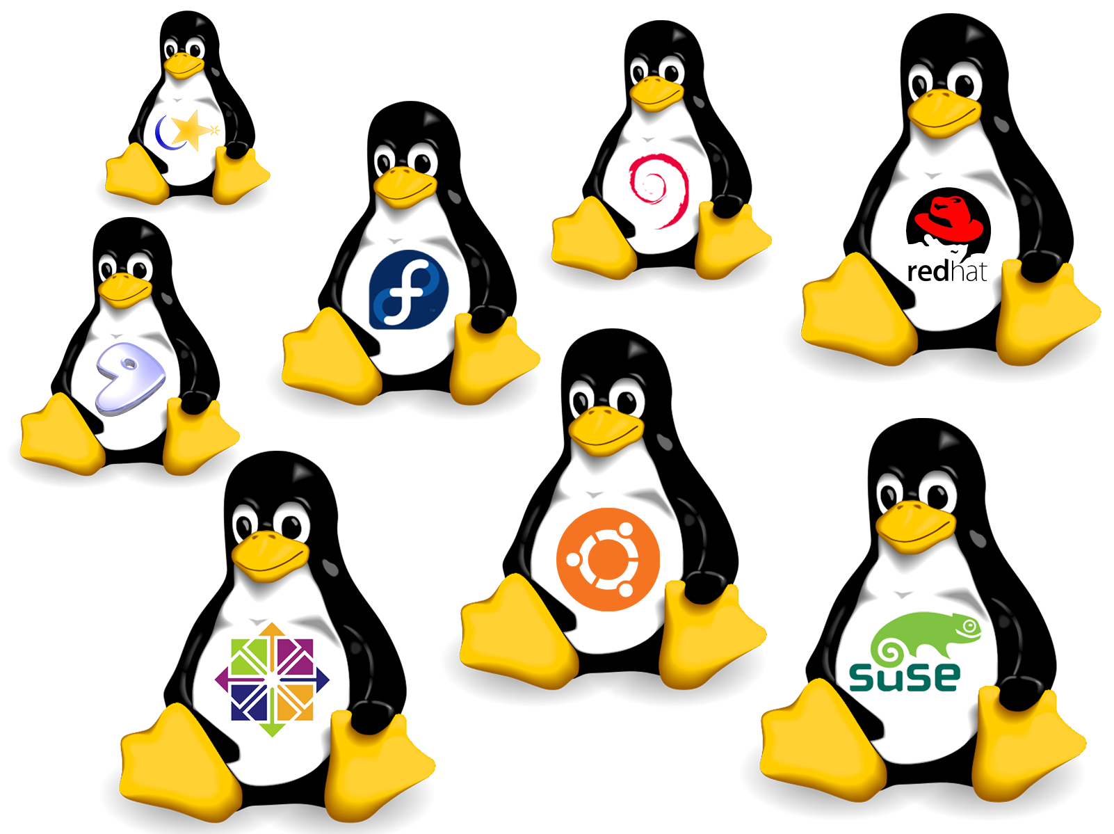 Image result for linux