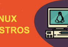 10 Best Linux Distros For All Professonals 2022