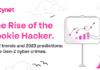 The Rise of the Rookie Hacker – A New Trend to Reckon With