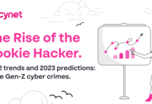 The Rise of the Rookie Hacker – A New Trend to Reckon With
