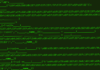 W4SP Stealer Discovered in Multiple PyPI Packages Under Various Names