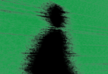 Experts Uncover the Identity of Mastermind Behind Golden Chickens Malware Service