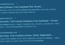 Raccoon and Vidar Stealers Spreading via Massive Network of Fake Cracked Software