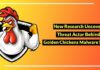 Research Uncovers Actor Behind Infamous Golden Chickens