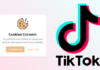 TikTok Fined $5.4 Million by French Regulator for Violating Cookie Laws
