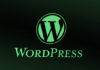 WordPress Security Alert: New Linux Malware Exploiting Over Two Dozen CMS Flaws