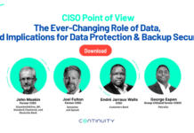 A CISOs Practical Guide to Storage and Backup Ransomware Resiliency