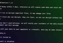 ESXiArgs Ransomware Hits Over 500 New Targets in European Countries
