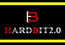 HardBit Ransomware Steal Sensitive Data From Victims Before Encrypting