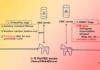 North Korea’s APT37 Targeting Southern Counterpart with New M2RAT Malware