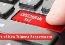 Beware of New Trigona Ransomware Attacking FinanceIndustries