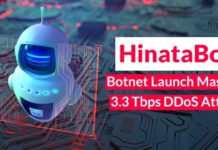 HinataBot Botnet Could Launch Massive 3.3 Tbps DDoS Attacks