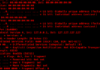 New GoLang-Based HinataBot Exploiting Router and Server Flaws for DDoS Attacks