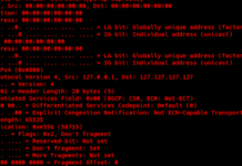 New GoLang-Based HinataBot Exploiting Router and Server Flaws for DDoS Attacks