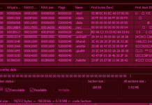 Parallax RAT Targeting Cryptocurrency Firms with Sophisticated Injection Techniques