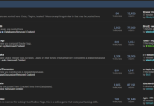 Pompompurin Unmasked: Infamous BreachForums Mastermind Arrested in New York