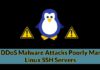 Shell DDoS Malware Attacks Poorly Managed Linux SSH Servers