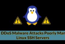 Shell DDoS Malware Attacks Poorly Managed Linux SSH Servers