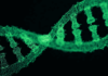 CISA Warns of Critical Flaws in Illumina’s DNA Sequencing Instruments