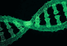 CISA Warns of Critical Flaws in Illumina’s DNA Sequencing Instruments