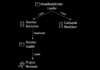 FIN7 and Ex-Conti Cybercrime Gangs Join Forces in Domino Malware Attacks