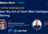Tour of the Underground: Master the Art of Dark Web Intelligence Gathering