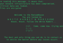 Babuk Source Code Sparks 9 Different Ransomware Strains Targeting VMware ESXi Systems