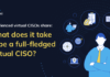 Download the eBook: What Does it Take to be a Full-Fledged Virtual CISO?