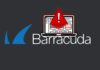 Hackers Exploit Barracuda Zero-Day Flaw Since 2022