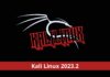 Kali Linux 2023.2 Released – What’s New!